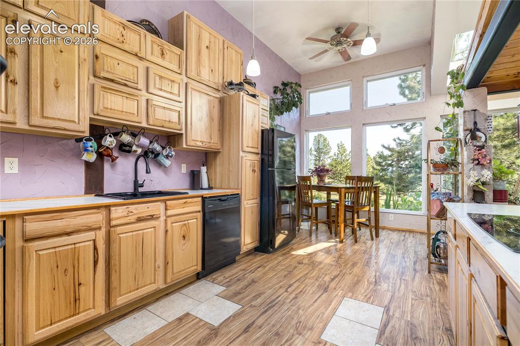 2493 County Road 782 Woodland Park CO 80863