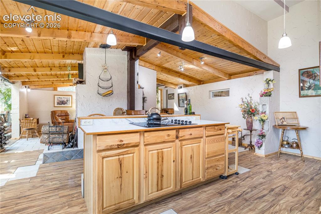 2493 County Road 782 Woodland Park CO 80863