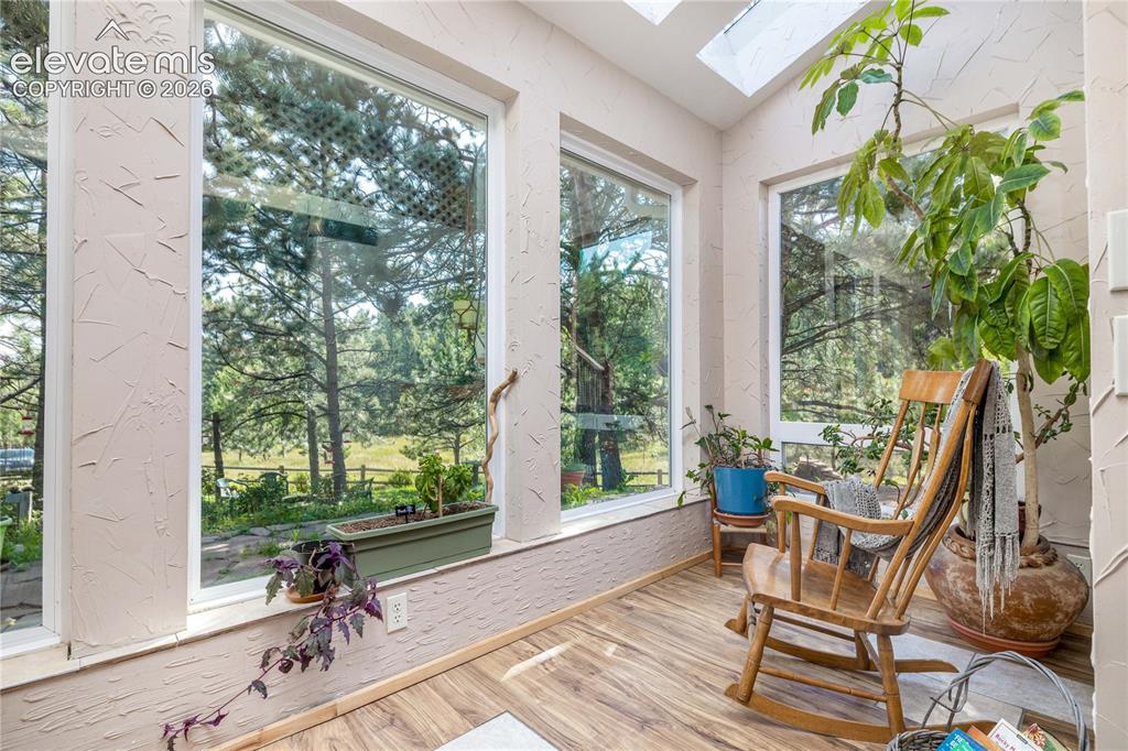 2493 County Road 782 Woodland Park CO 80863