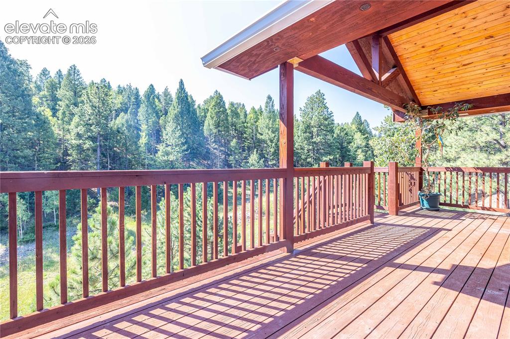 2493 County Road 782 Woodland Park CO 80863