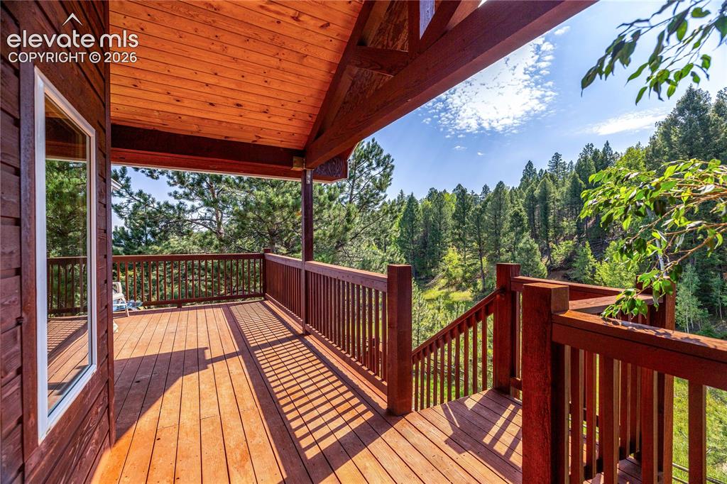 2493 County Road 782 Woodland Park CO 80863