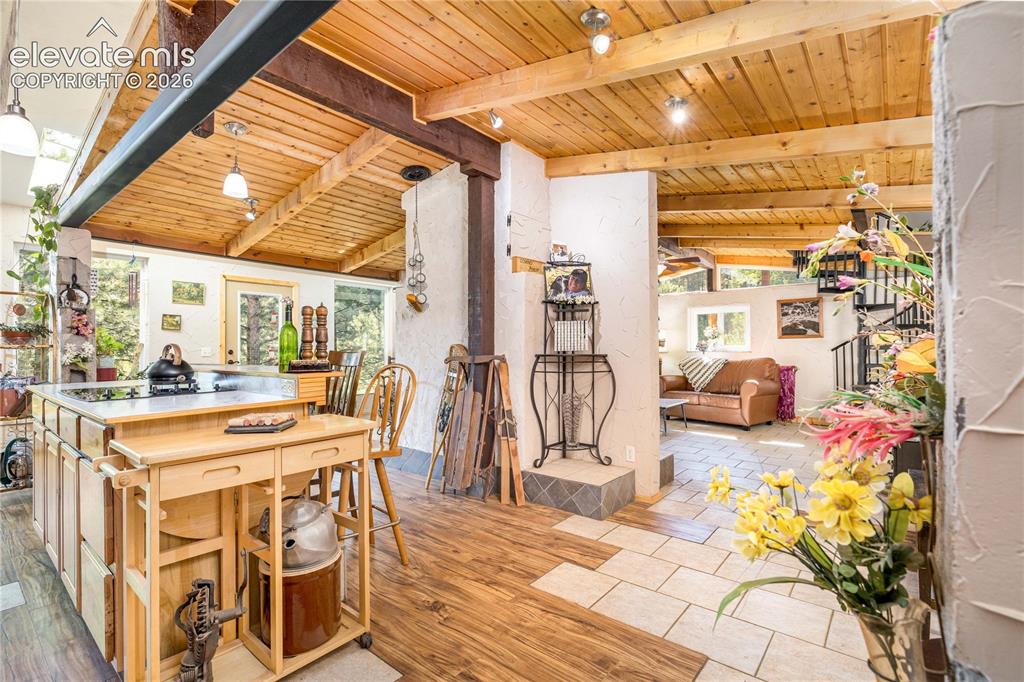 2493 County Road 782 Woodland Park CO 80863
