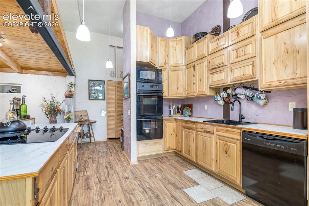 2493 County Road 782 Woodland Park CO 80863