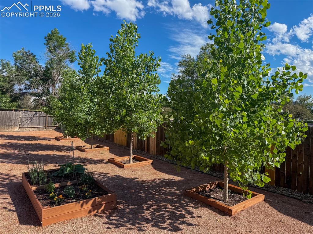 5018 Sonata Drive Colorado Springs CO 80918