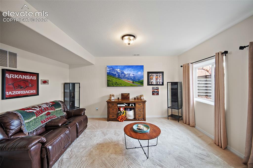 10605 Darneal Drive Fountain CO 80817