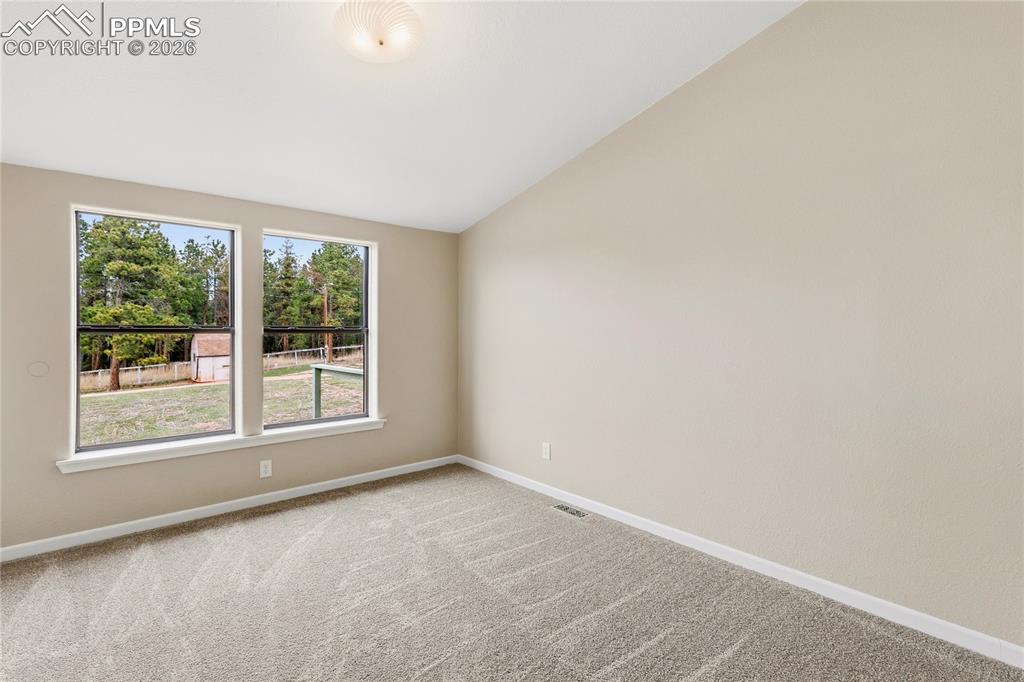 585 Mills Ranch Road Woodland Park CO 80863