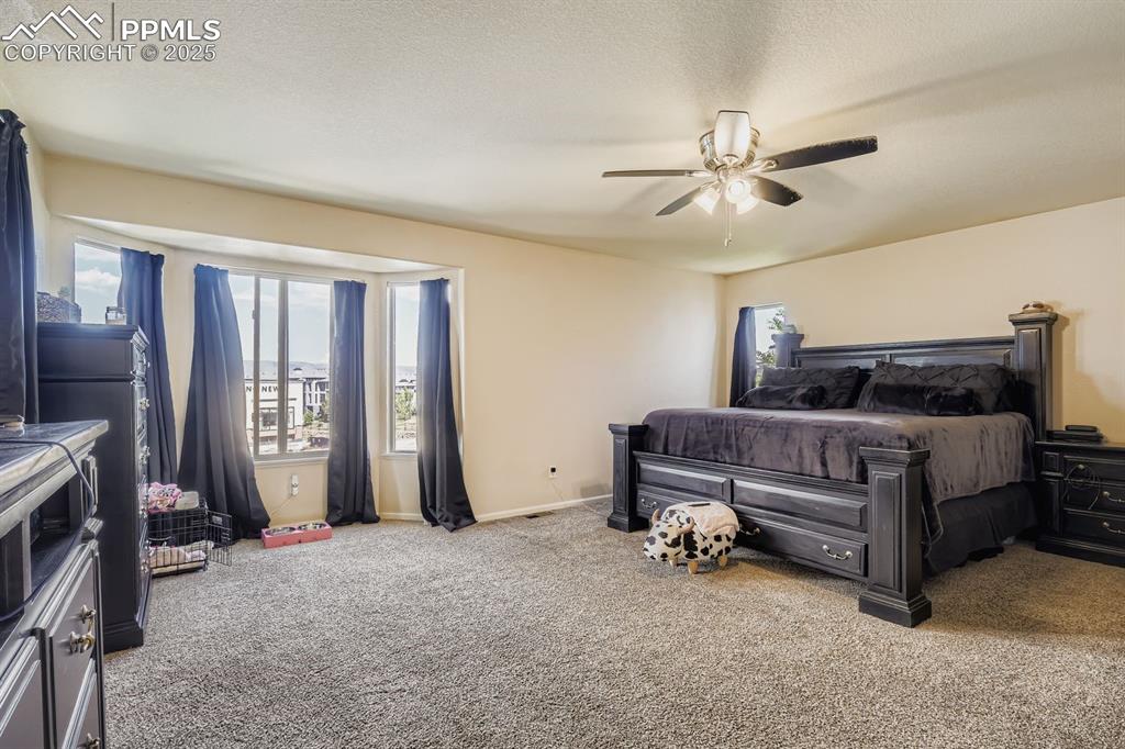 11724 Wildwood Ridge Drive Colorado Springs CO 80921