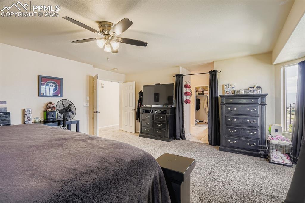 11724 Wildwood Ridge Drive Colorado Springs CO 80921