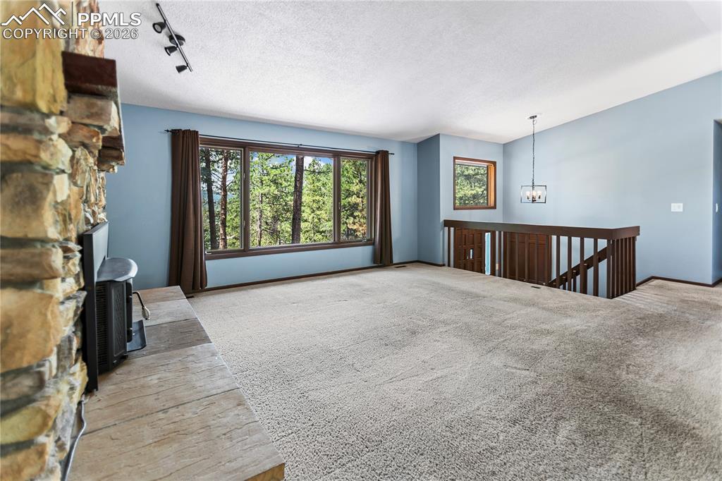 1129 Forest Hill Road Woodland Park CO 80863