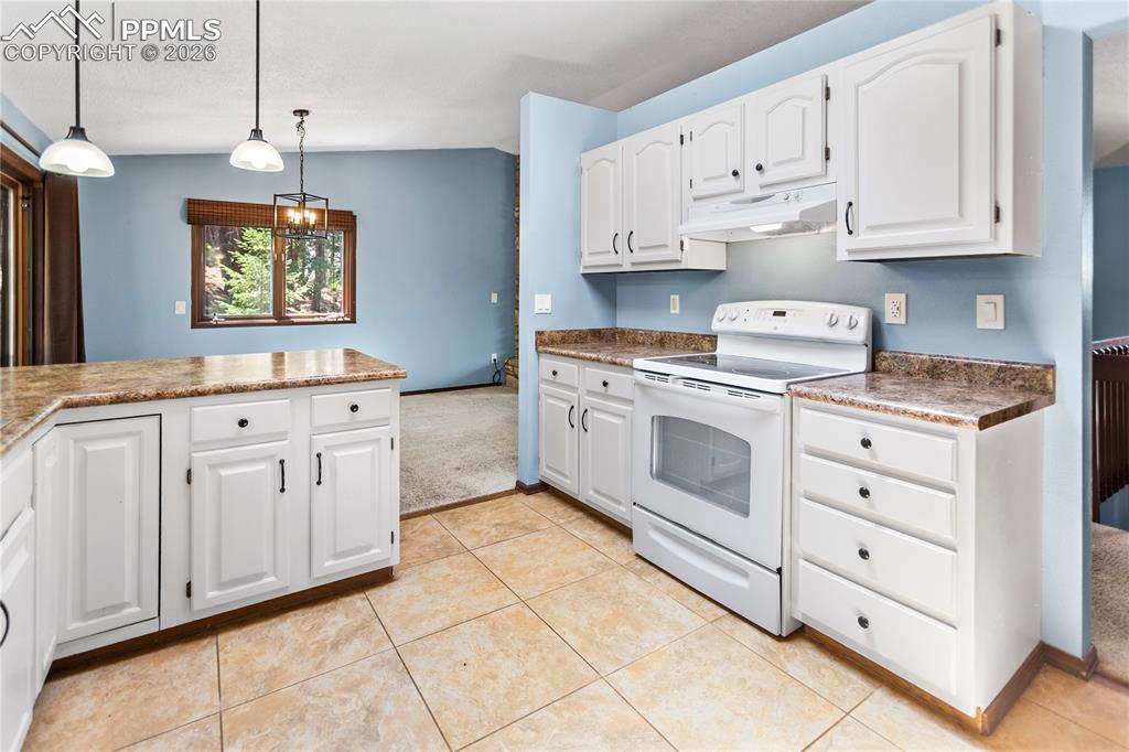 1129 Forest Hill Road Woodland Park CO 80863