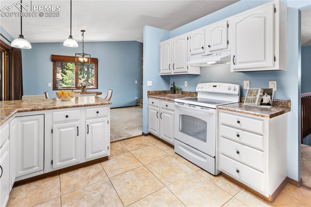 1129 Forest Hill Road Woodland Park CO 80863