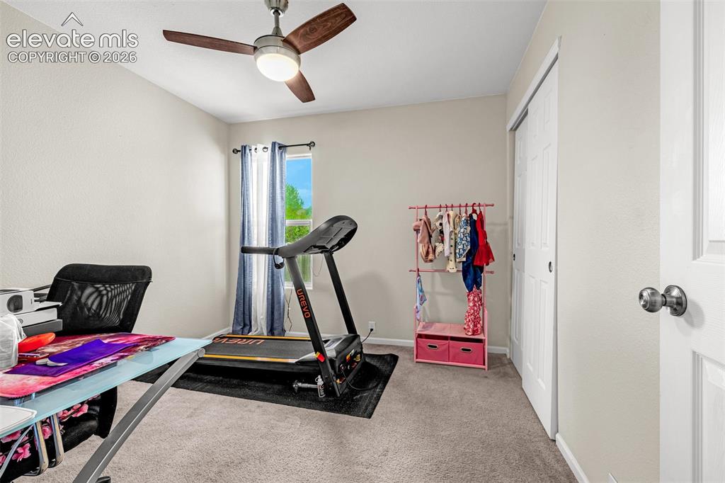 6538 Fowler Drive Colorado Springs CO 80923
