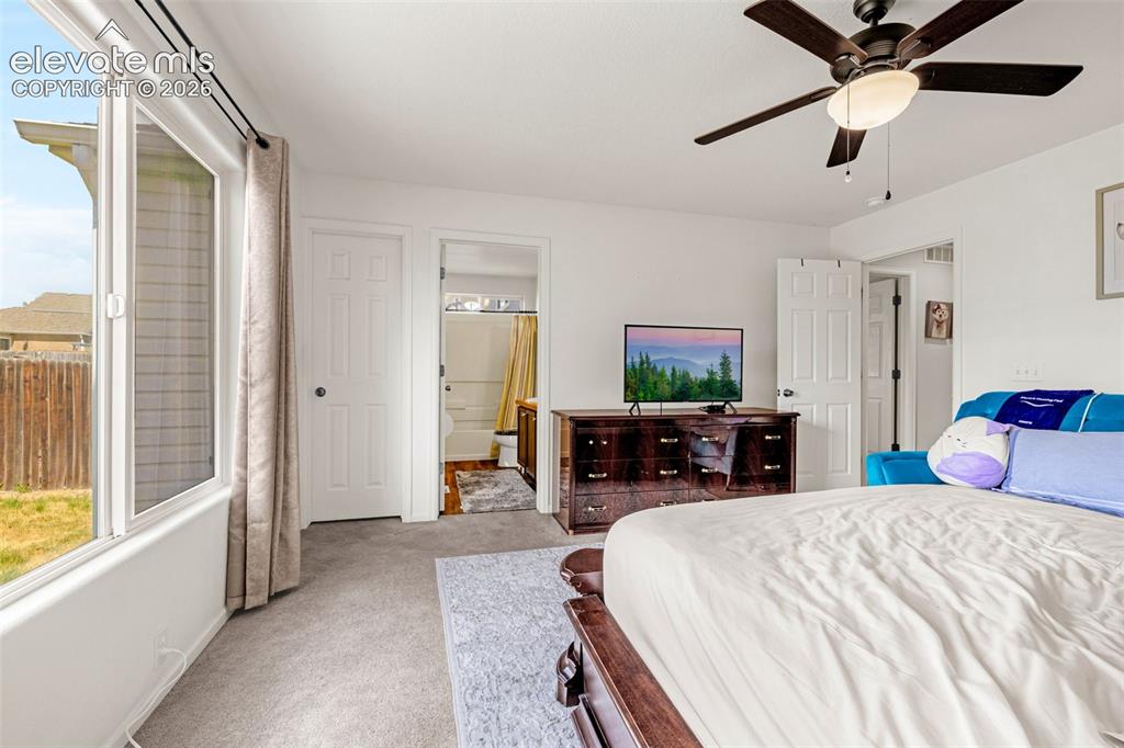 6538 Fowler Drive Colorado Springs CO 80923
