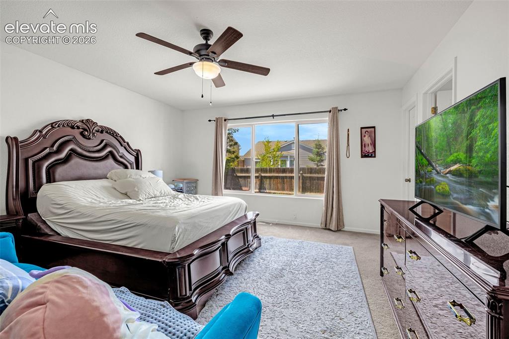 6538 Fowler Drive Colorado Springs CO 80923