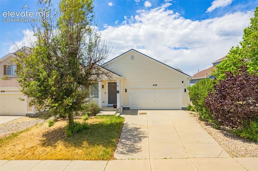 6538 Fowler Drive Colorado Springs CO 80923
