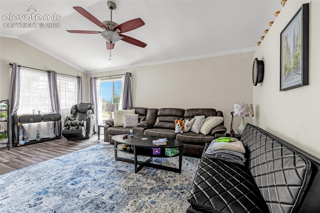 6538 Fowler Drive Colorado Springs CO 80923