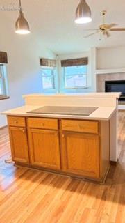 4865 Braddock Drive Colorado Springs CO 80920