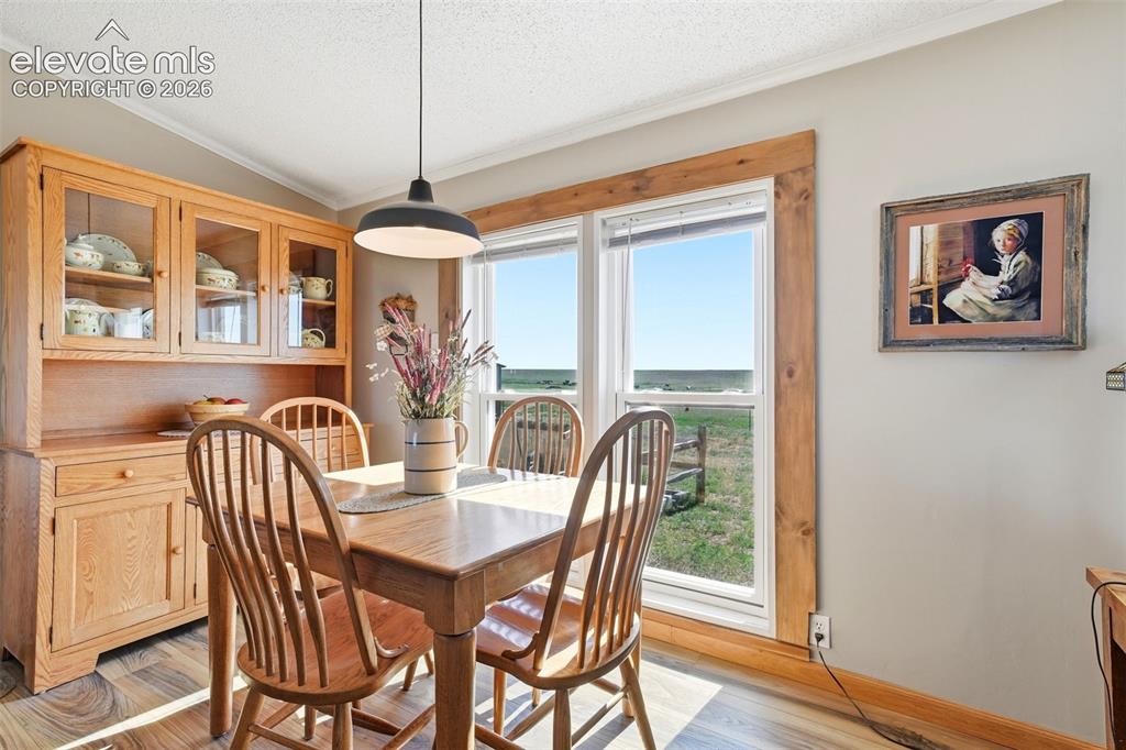 6355 Field View Peyton CO 80831