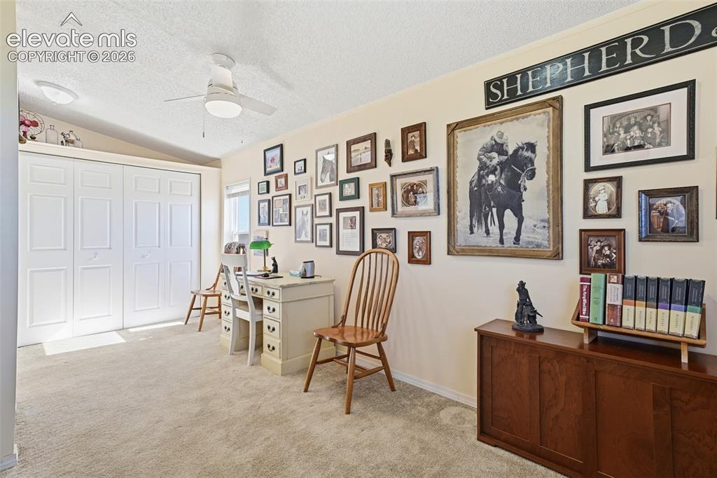 6355 Field View Peyton CO 80831