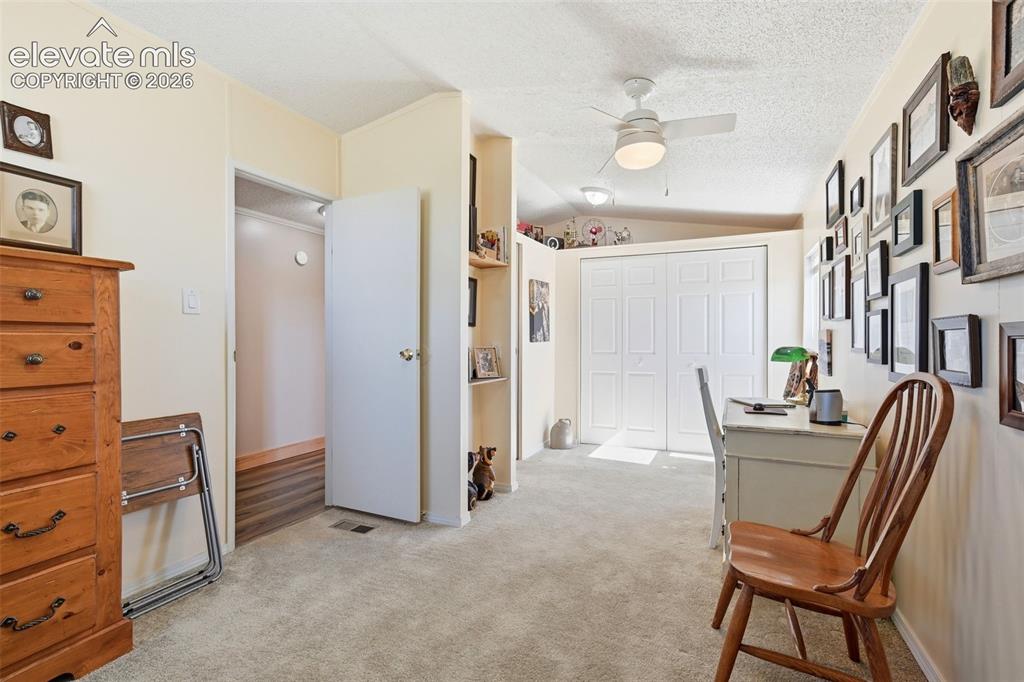 6355 Field View Peyton CO 80831