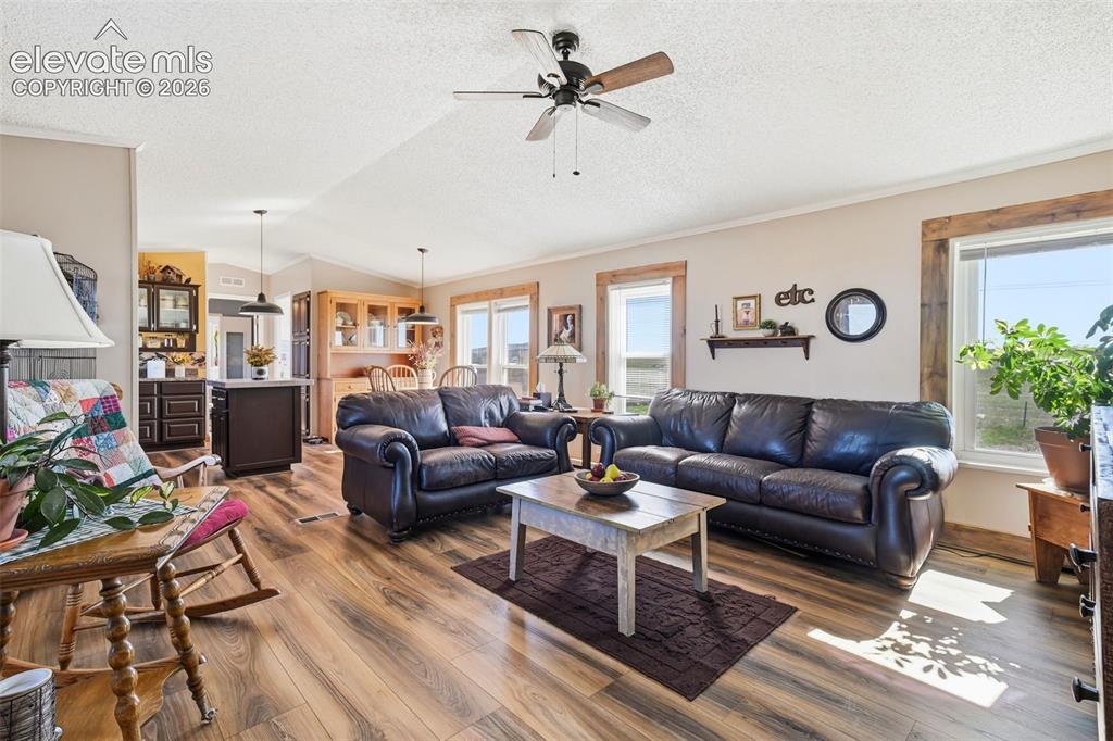 6355 Field View Peyton CO 80831