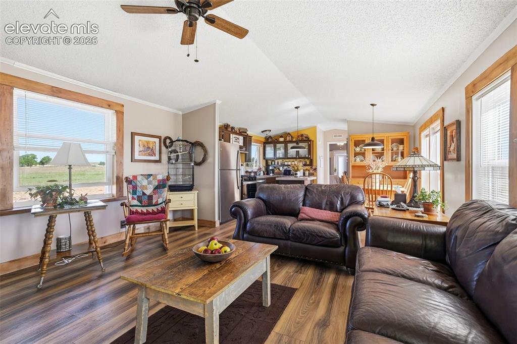 6355 Field View Peyton CO 80831