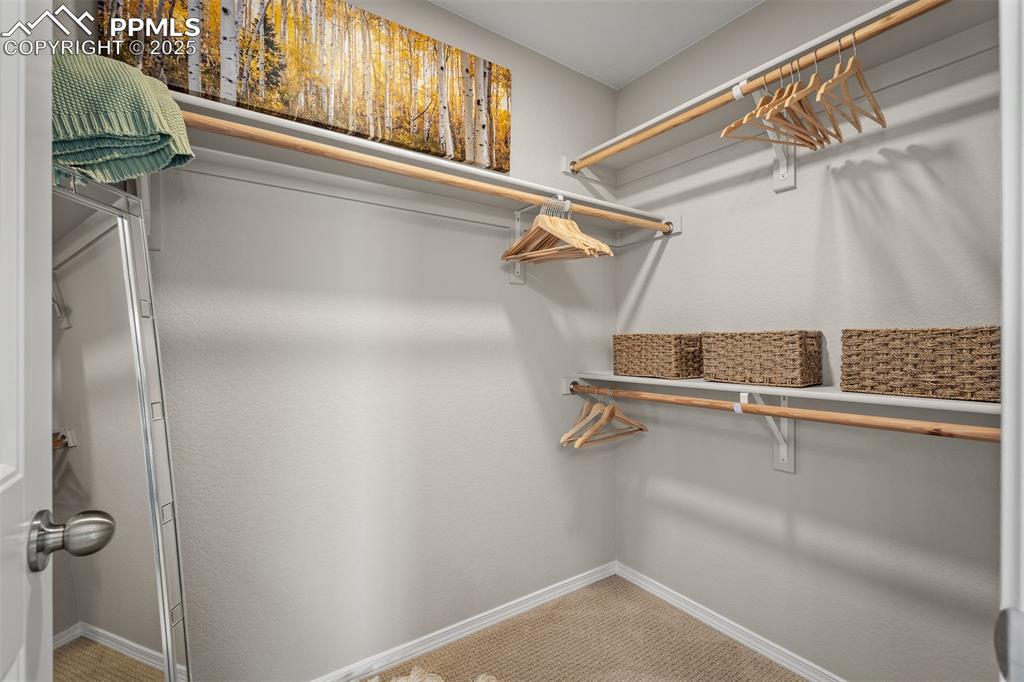 9389 Mayflower Gulch Way Colorado Springs CO 80927