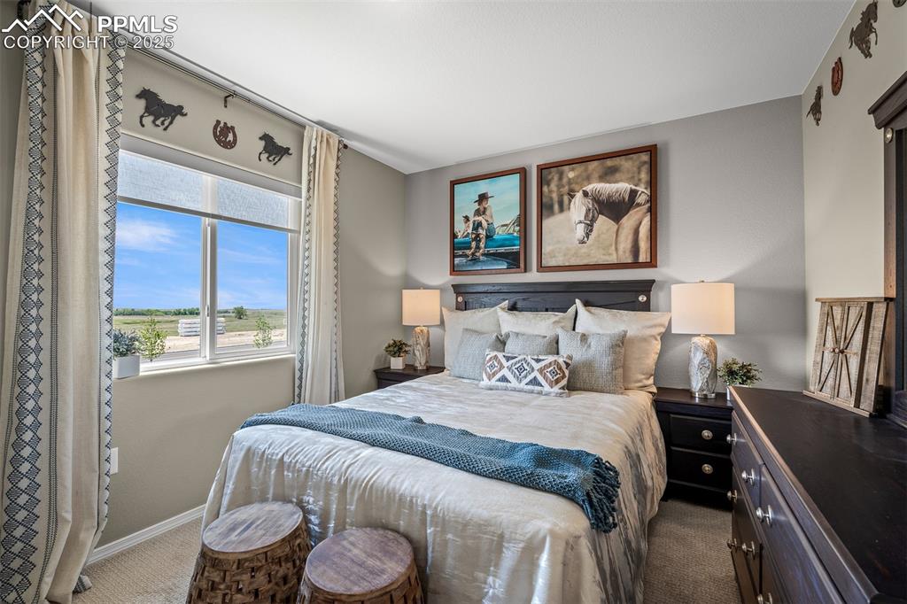 9389 Mayflower Gulch Way Colorado Springs CO 80927