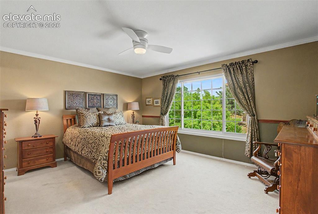 4510 Eileen Court Colorado Springs CO 80919