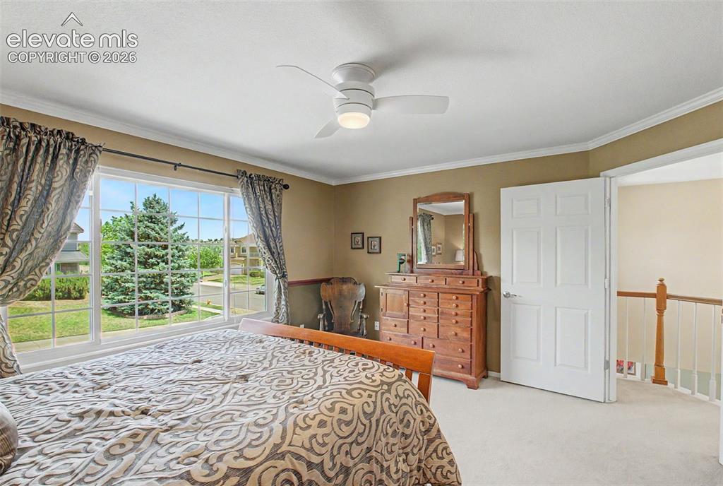 4510 Eileen Court Colorado Springs CO 80919