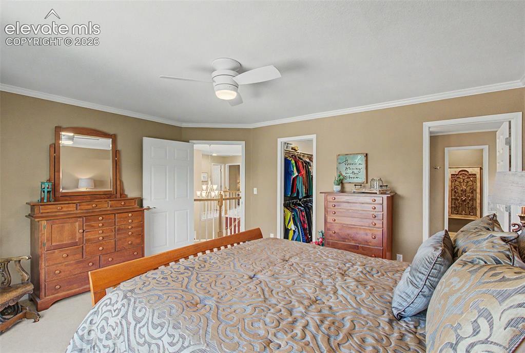 4510 Eileen Court Colorado Springs CO 80919