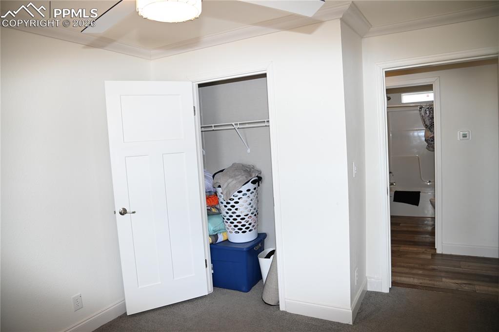 23628 Redtail Drive Colorado Springs CO 80928