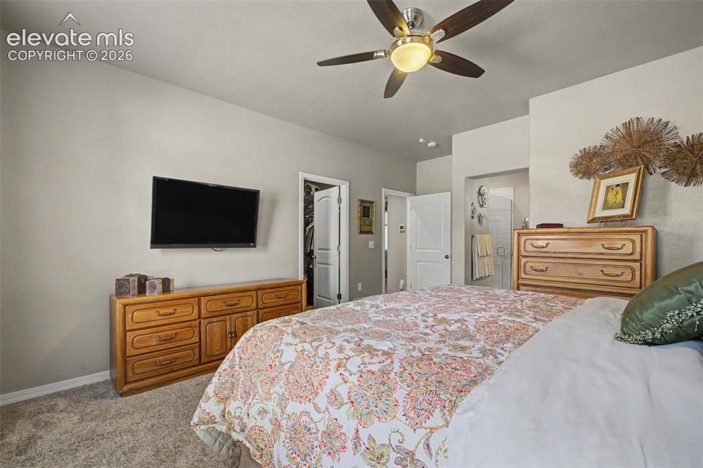 6631 Dance Hall Lane Colorado Springs CO 80923