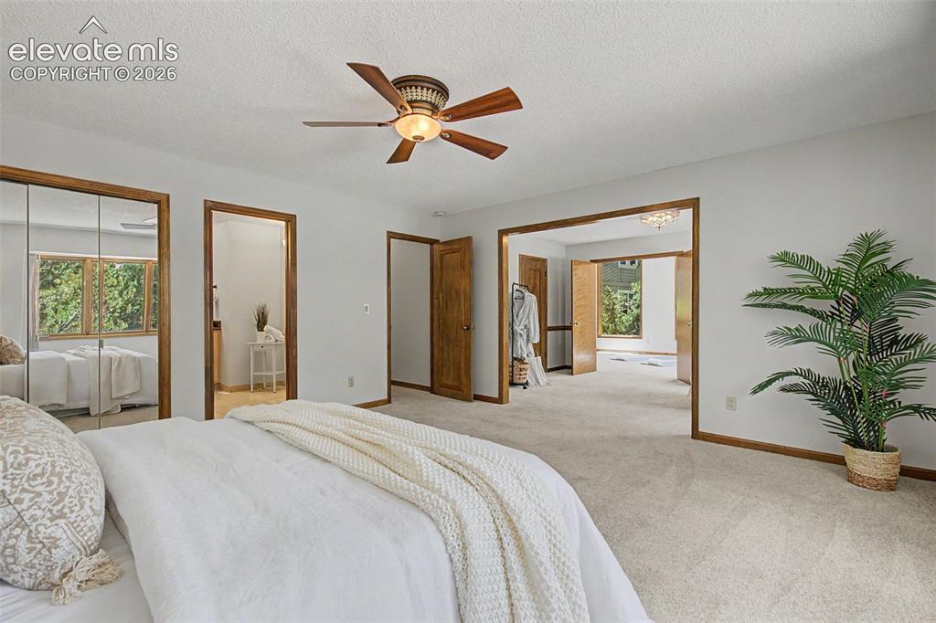 6745 Northvale Lane Colorado Springs CO 80919