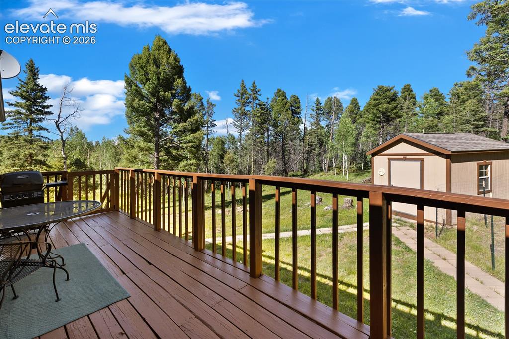 173 Deerview Drive Florissant CO 80816