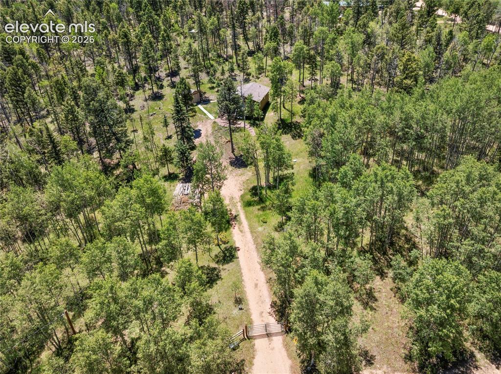 173 Deerview Drive Florissant CO 80816