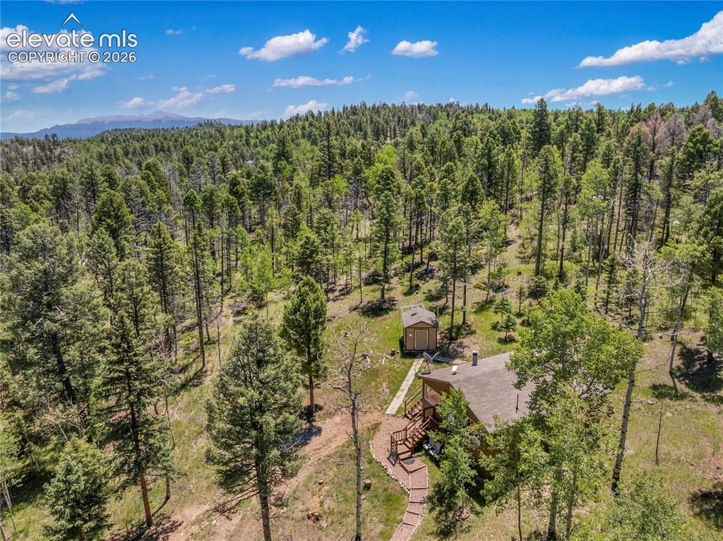 173 Deerview Drive Florissant CO 80816