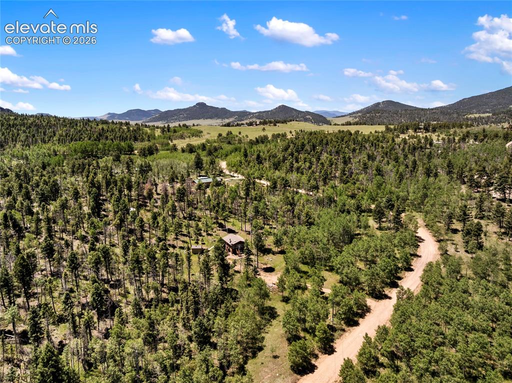 173 Deerview Drive Florissant CO 80816