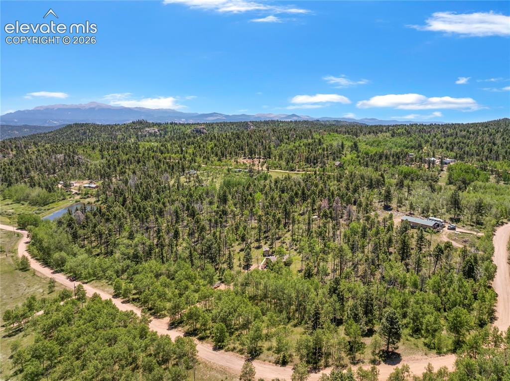173 Deerview Drive Florissant CO 80816