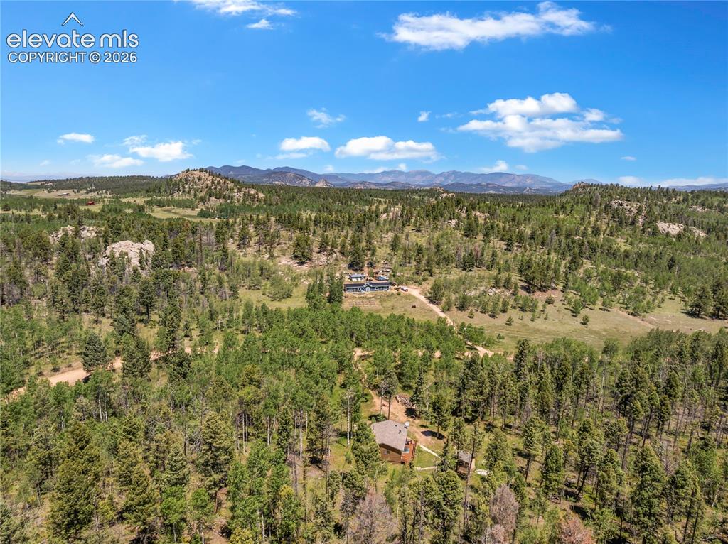 173 Deerview Drive Florissant CO 80816
