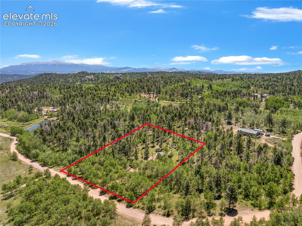 173 Deerview Drive Florissant CO 80816