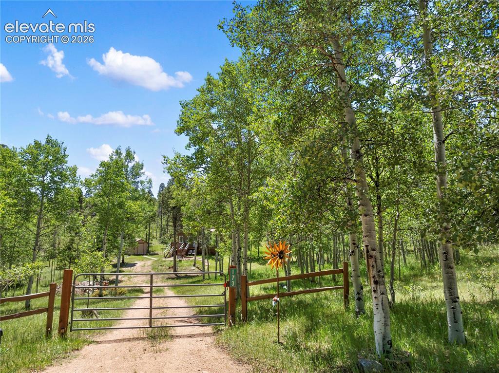 173 Deerview Drive Florissant CO 80816