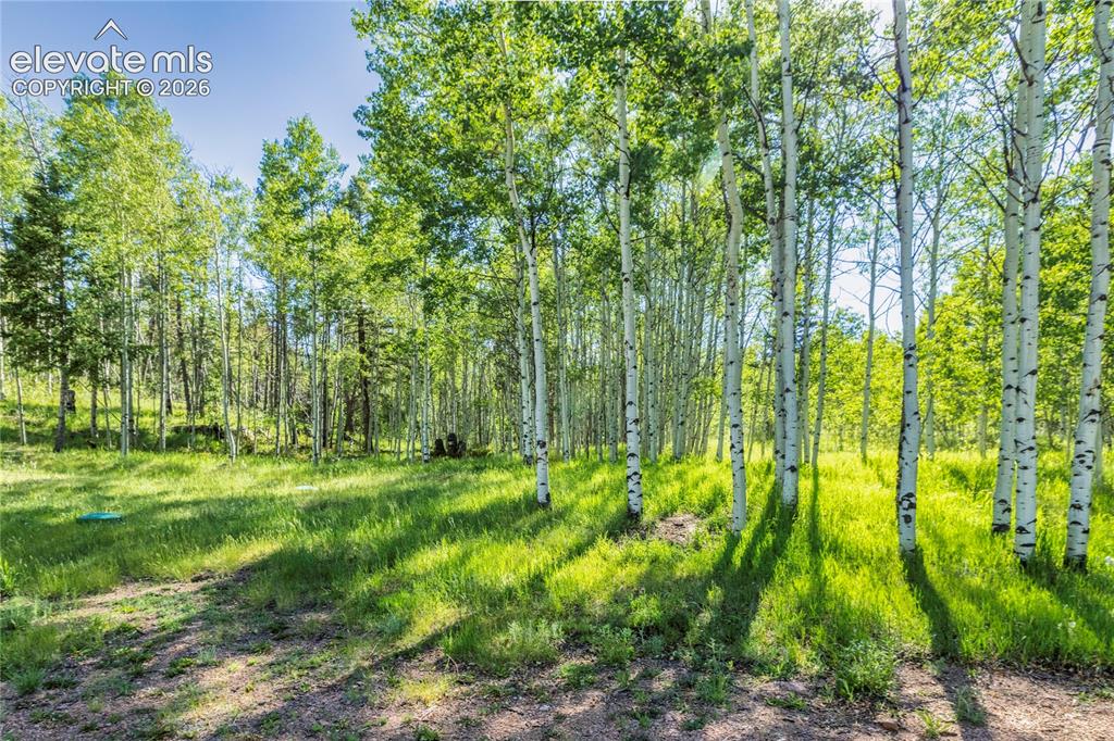 173 Deerview Drive Florissant CO 80816