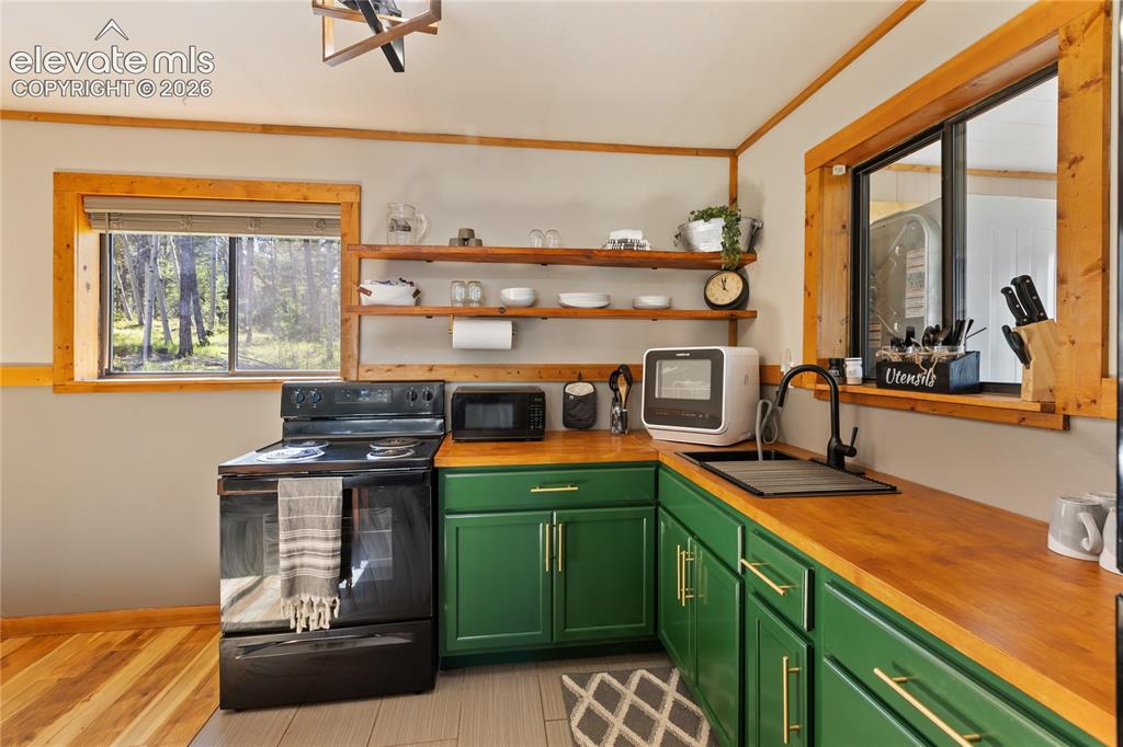 173 Deerview Drive Florissant CO 80816