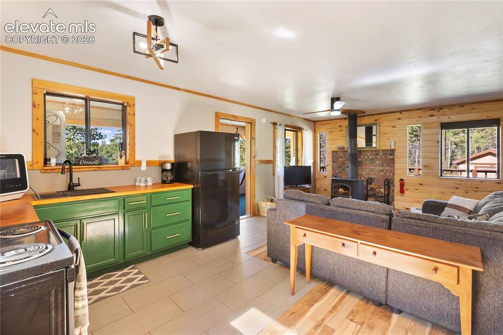 173 Deerview Drive Florissant CO 80816