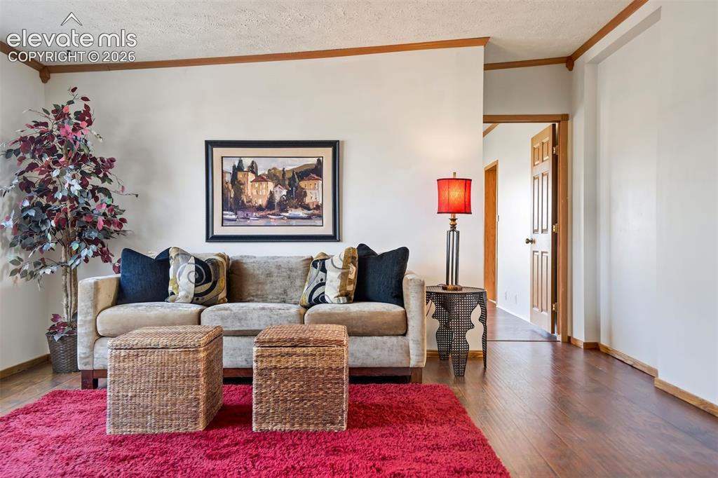 7335 Chelsey Way Peyton CO 80831