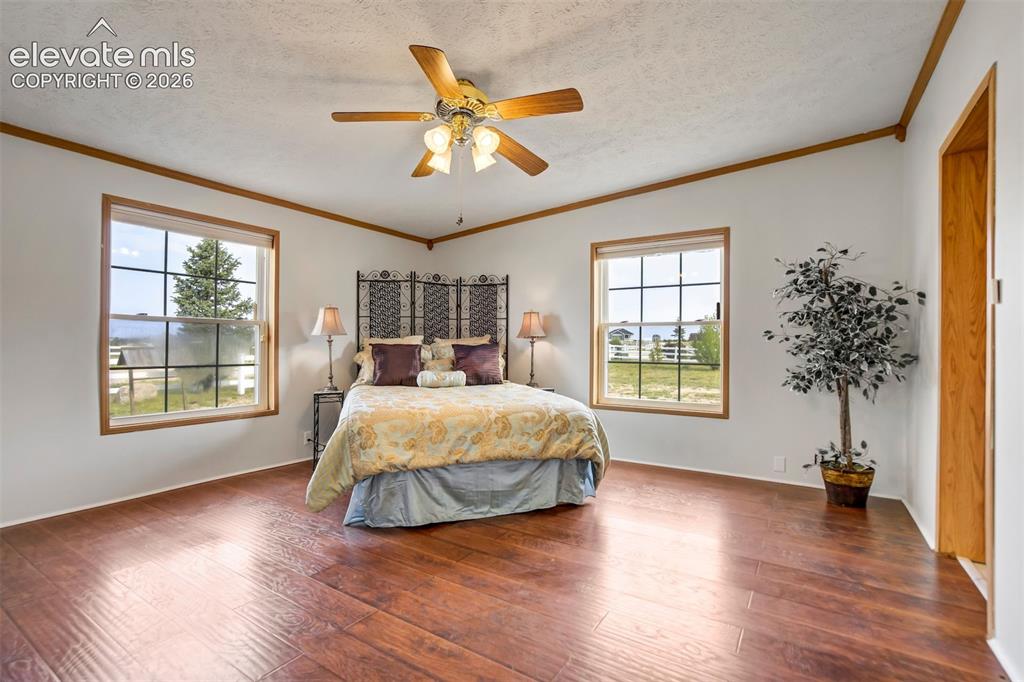 7335 Chelsey Way Peyton CO 80831
