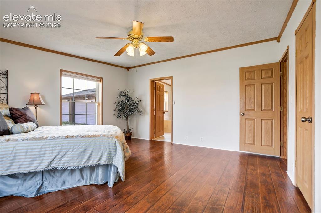 7335 Chelsey Way Peyton CO 80831