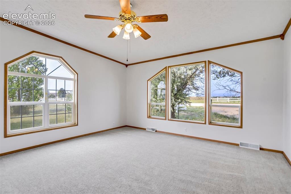 7335 Chelsey Way Peyton CO 80831