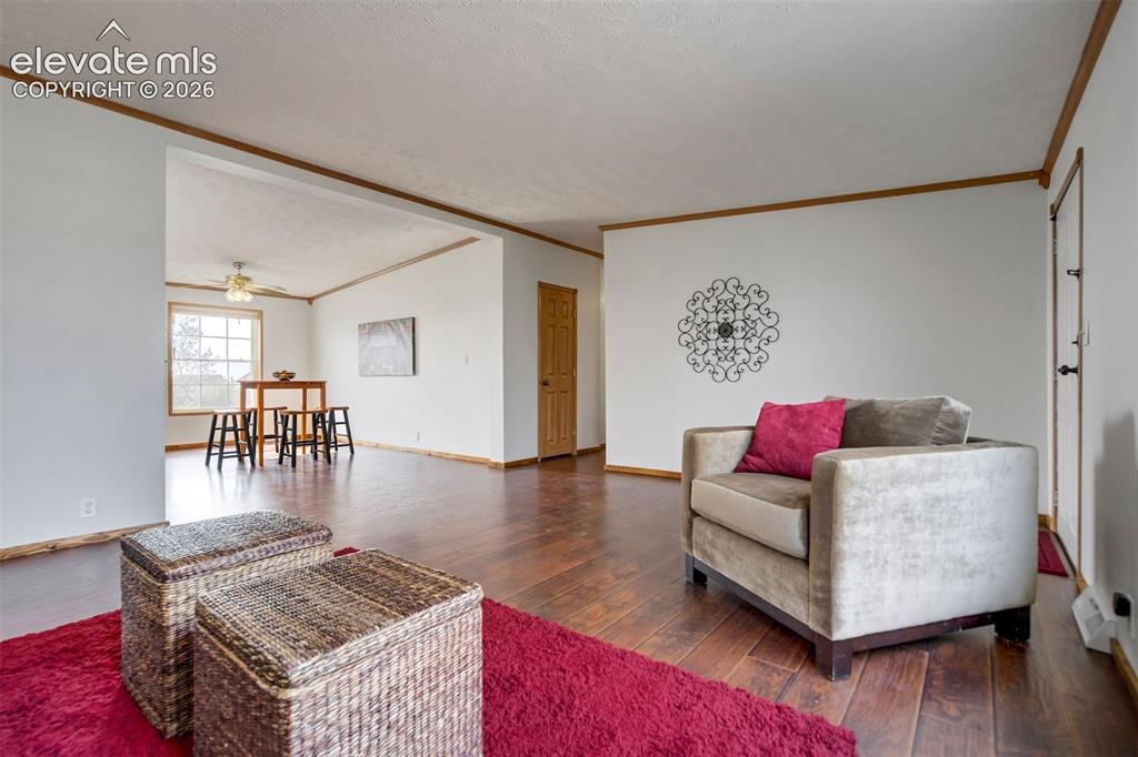 7335 Chelsey Way Peyton CO 80831
